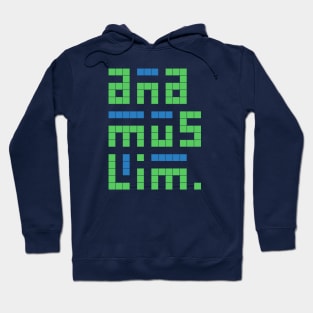 Ana Muslim - Im a Muslim Hoodie